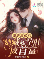 潇洒离婚后,她藏起孕肚成首富!