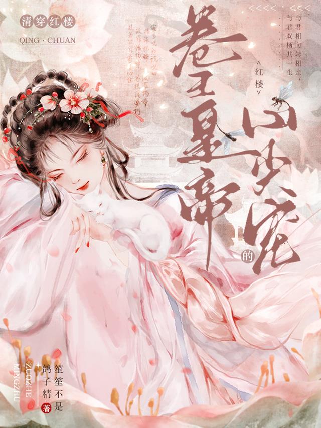 清穿红楼:卷王皇帝的心尖宠