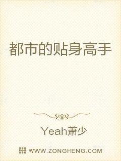 都市的贴身高手