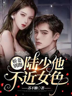 娇妻别跑:陆少他不近女色